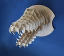 3D Crocodile Head Wall Mount Vector File for Laser Cutting