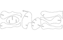 3D Giraffe Puzzle Laser Cut Vector DXF File