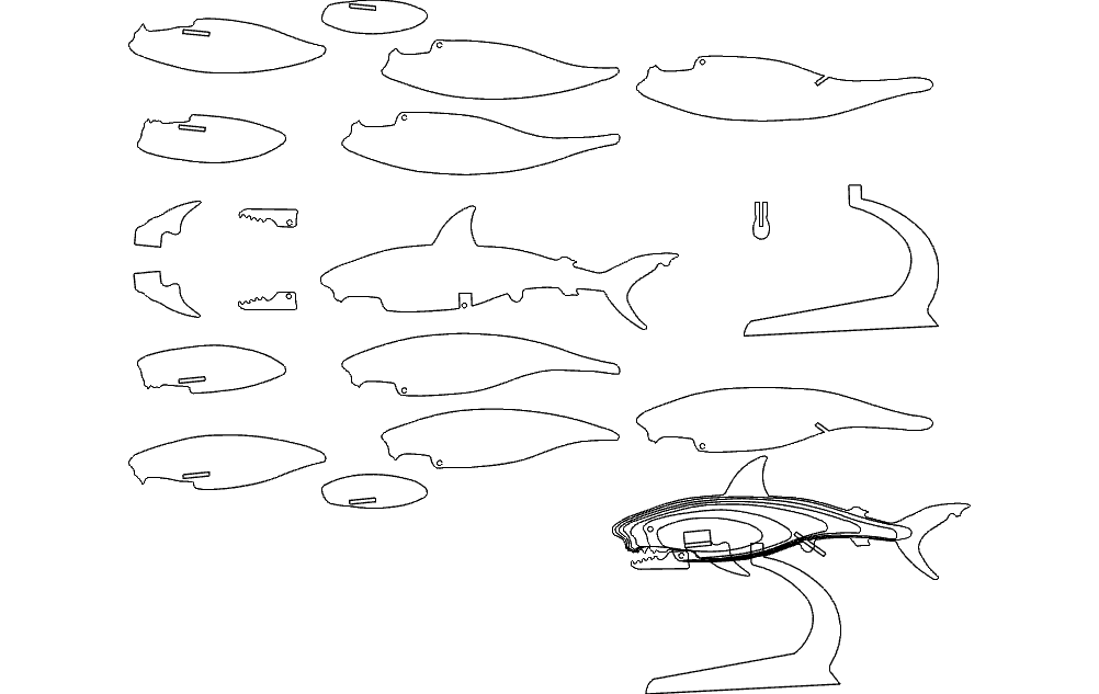 3D Shark Puzzle Vector Plan for Laser Cutting DXF