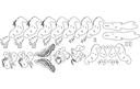 3D Winged Horse DXF Vector File for Laser Cutting