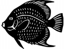 Angelfish Vector Silhouette for Laser Cutting DXF