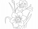 Beautiful Daffodil Flower Vector DXF File for Laser Cutting