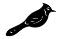Blue Jay Bird Silhouette Vector File for Laser Cutting DXF