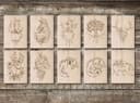 Botanical Animal Laser Engraving Collection Vector Files
