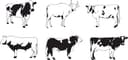 Cattle and Cow Silhouettes Vector Set for Laser Cutting