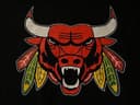 Chicago Bulls x Blackhawks Mashup Logo Vector File DXF