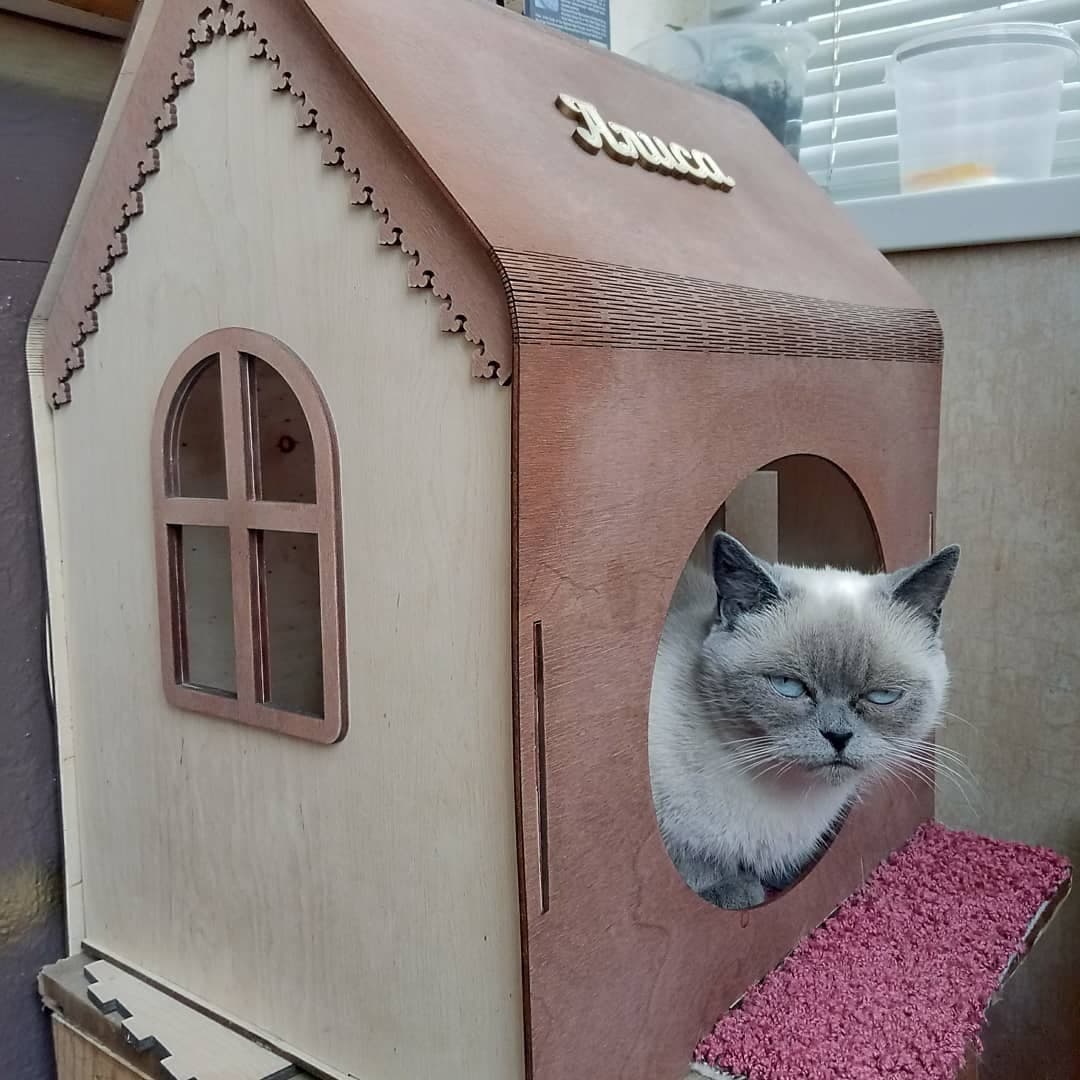 Cozy Wooden Cat House Laser Cut Vector File