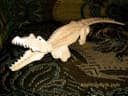 Crocodile 3D Wooden Puzzle - Laser Cut Vector File