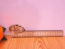 Custom Car Themed Wooden Ruler Laser Cut Vector File