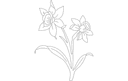 Daffodil Flower Line Art DXF Vector for Laser Cutting