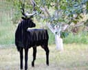 Deer BBQ Grill 3D Puzzle CNC Plan