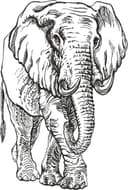 Detailed African Elephant Line Art Vector Graphic