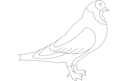 Elegant Pigeon Vector Silhouette for Laser Cutting DXF
