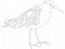 Elegant Shorebird Stencil Vector Design for Laser Cutting DXF