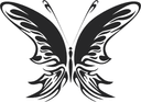Elegant Tribal Butterfly Vector Art Free Download