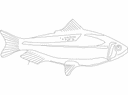 Fish Silhouette Vector Design for Laser Cutting DXF File