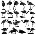 Flamingo Silhouette Collection Vector Files for Laser Cutting (DXF)