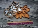Floral Bead Sorting Tray with Lid Laser Cut Vector File