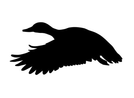 Flying Duck Silhouette Vector File for Laser Cutting DXF