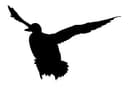 Flying Mallard Duck Silhouette DXF Vector File