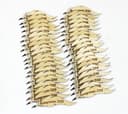 Graduate Feather Quill Keychain Laser Cut Vector File