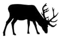 Grazing Stag Silhouette Vector Design for Laser Cutting DXF