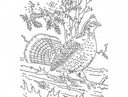Grouse Bird Vector Art Laser Cutting DXF File