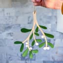 Hanging Mistletoe Christmas Ornament Vector File