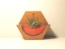Hexagonal Wall Planter Laser Cut Vector File