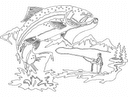 Jumping Trout Fishing Scene DXF Vector for Laser Cutting