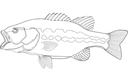 Largemouth Bass Vector Fish File for Laser Cutting DXF
