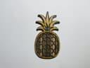 Layered Pineapple Wall Art Laser Cut File Vector