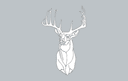 Majestic Deer Head Vector Outline for CNC and Laser Cutting (DXF)