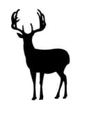 Majestic Deer Silhouette Vector File for Laser Cutting (DXF)