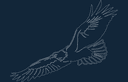 Majestic Soaring Eagle DXF Vector File for Laser Cutting