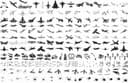 Military Aircraft and Nature Silhouette Vector Pack CDR
