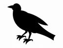 Minimalist Crow Silhouette Vector File for CNC Laser Cutting