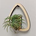 Minimalist Triangle Air Plant Holder Vector SVG File
