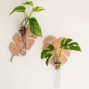 Monstera Leaf Wall Propagation Station Laser Cut Planter SVG DXF