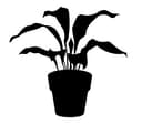 Potted House Plant Silhouette DXF Vector File