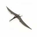 Pteranodon Flying Dinosaur 3D Puzzle Laser Cut DXF File
