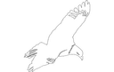 Soaring Eagle Silhouette Vector for Laser Cutting DXF