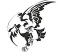 Soaring Hawk Silhouette Vector for Laser Cutting - Free CDR