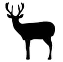 Stag Deer Silhouette Vector File for Laser Cutting (DXF)