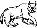 Stalking Lynx Mascot Vector File for Laser Cutting DXF