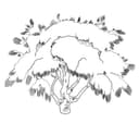 Stylized Decorative Tree Vector Line Art - DXF File