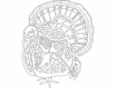 Thanksgiving Turkey Silhouette Vector File for Laser Cutting DXF