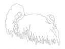 Turkey in Grass Silhouette Vector for CNC Laser Cutting DXF