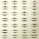 Vintage Flourish Dividers Collection EPS Vector File