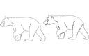 Walking Bear Silhouette Vector DXF Templates for Laser Cutting